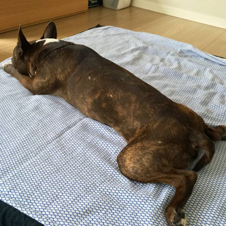 46a724bd bf5c 457e b689 51fe44551e91