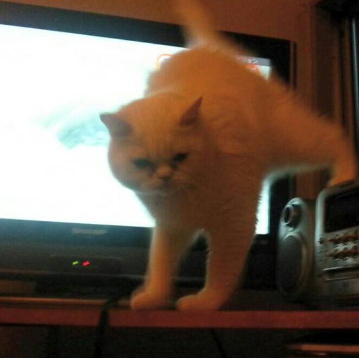 46a76959 cf06 42e6 b59f dc2defb30b3d