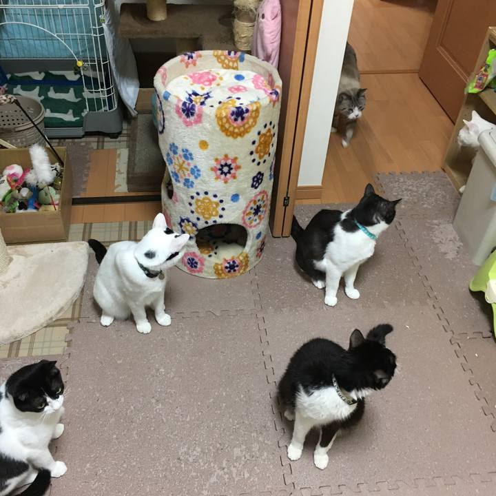 46a79126 abb8 496f a2db 1d257e322f18