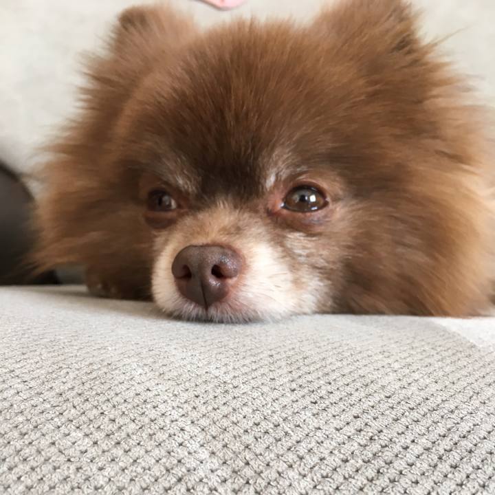 46a862a4 5897 40fa ae3c 6b3991d2797e