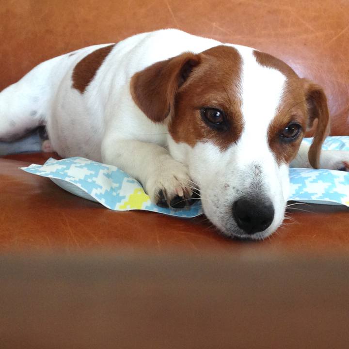 46a91e5b 2fe7 41ae 9a36 99459ae23005