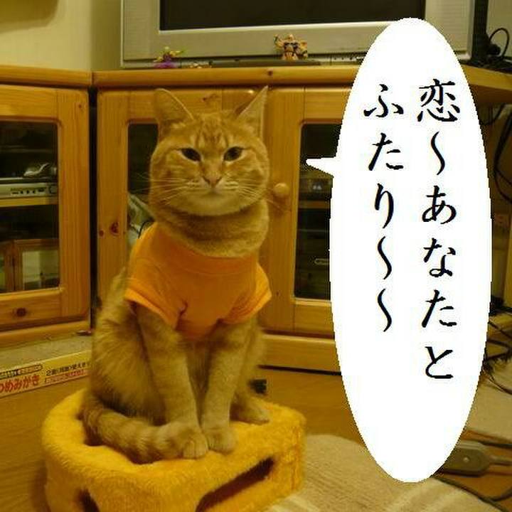 46a94c23 d5dd 49ad a3ed 54c5c5580668