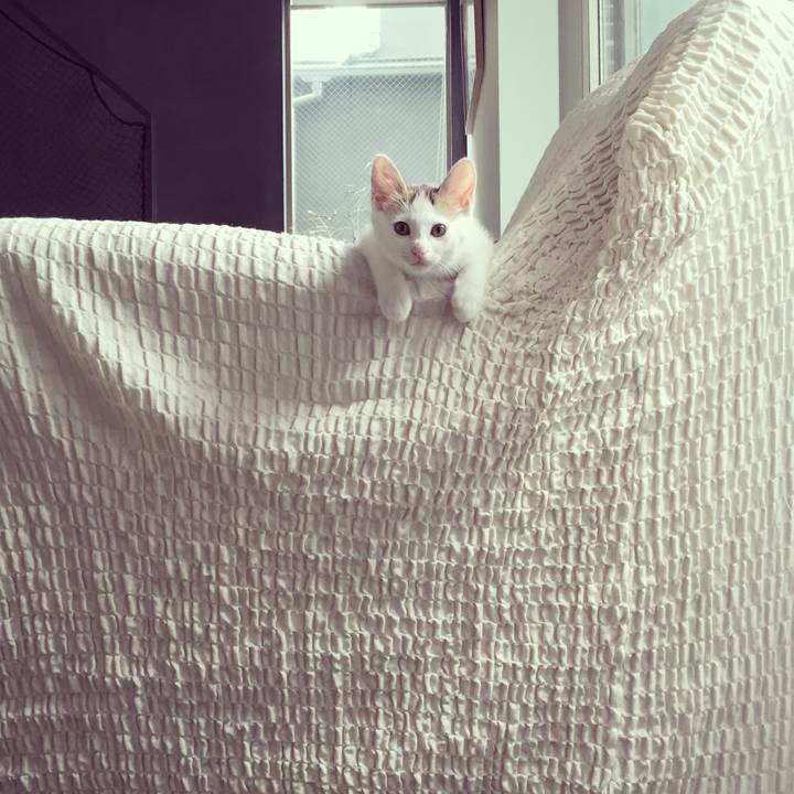 46a991bf 09ac 4278 8c41 6fec6a33cb5a