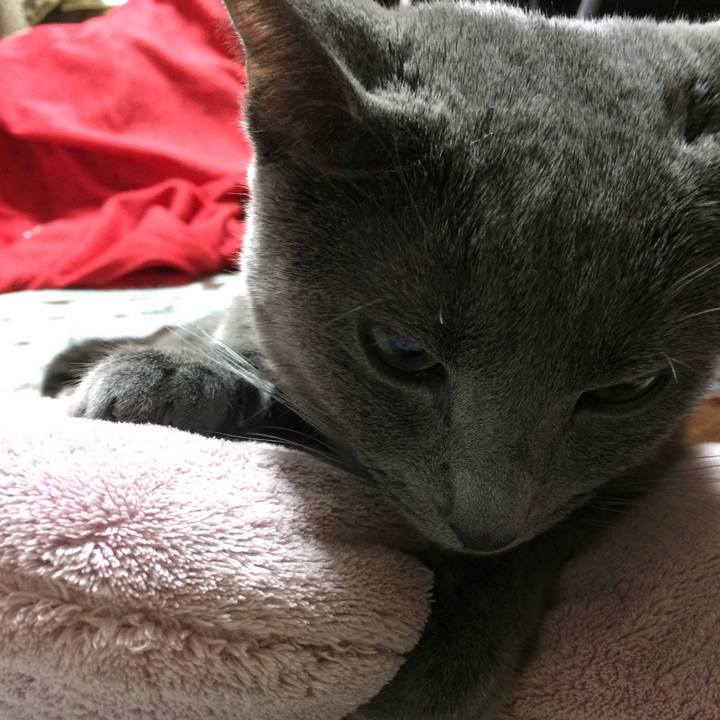 46a99320 c0db 45ac 8ed7 93923dc940b0