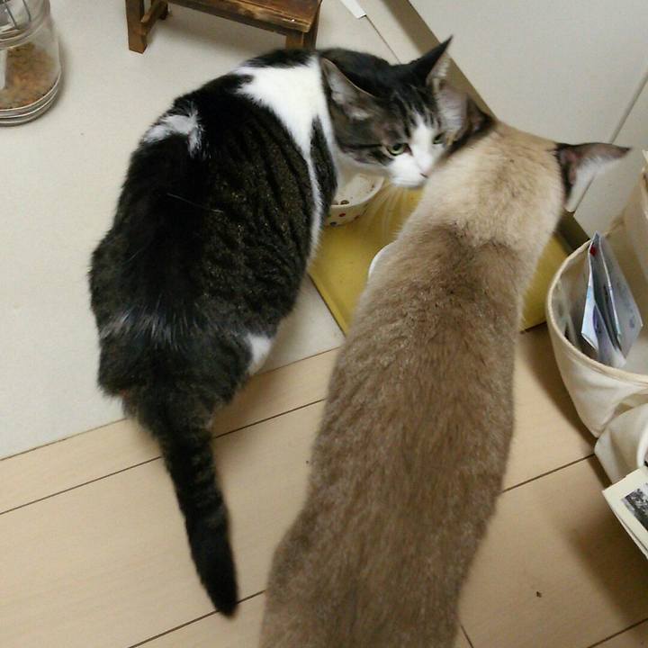 46a9ea56 1e05 441a a34f c88d0d748814