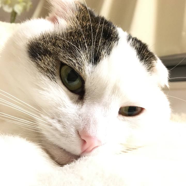 46a9f87e 4a52 4a78 8076 10a285576115