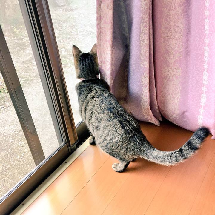 46aa2117 9386 4fae 998f 18ccdb0cb8c8