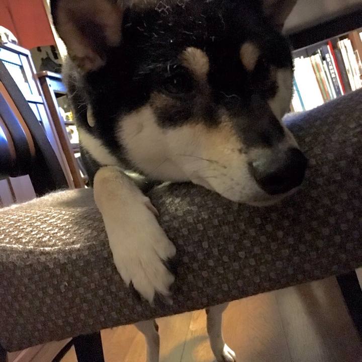 46aa636a 4702 49c1 91b2 7946852d837c