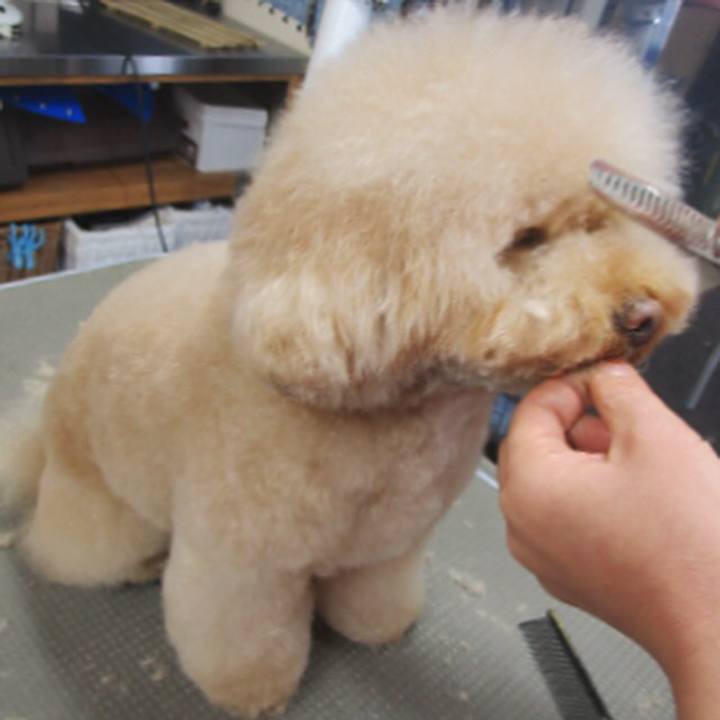 46aab517 9a15 483f b02c 1b300c82eab0