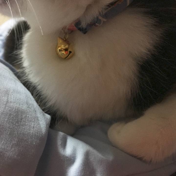 46aae539 1804 4e9d bf4a 1a20e1ebd323