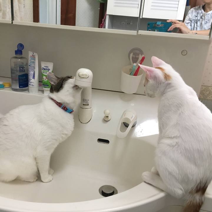 46ab1eaa dadb 4b09 b0e9 2aa0de3d3b82