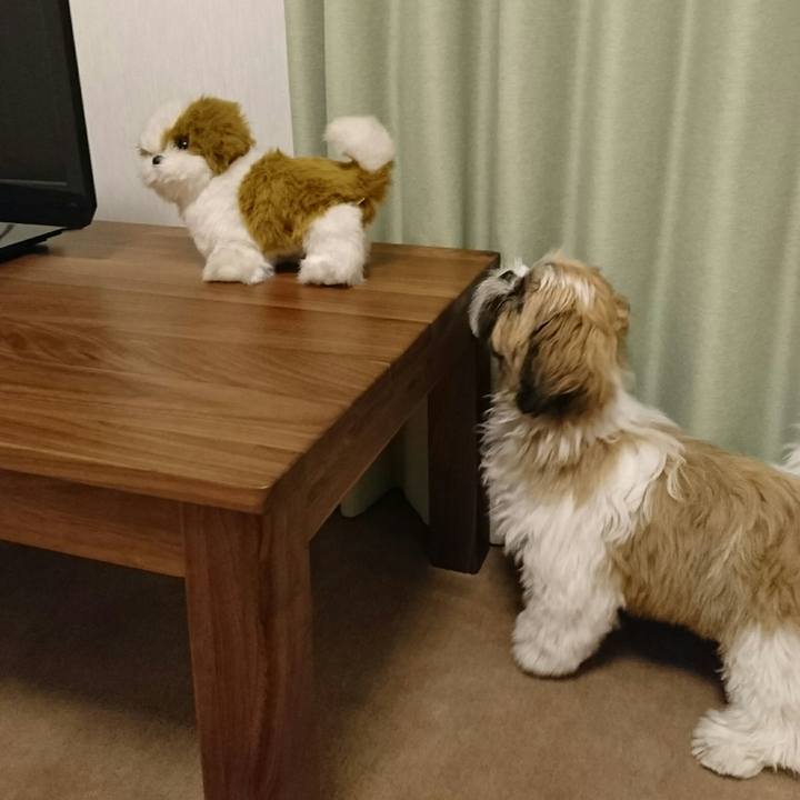 46ab30c5 0fc7 498e 9252 14a1abbfd710