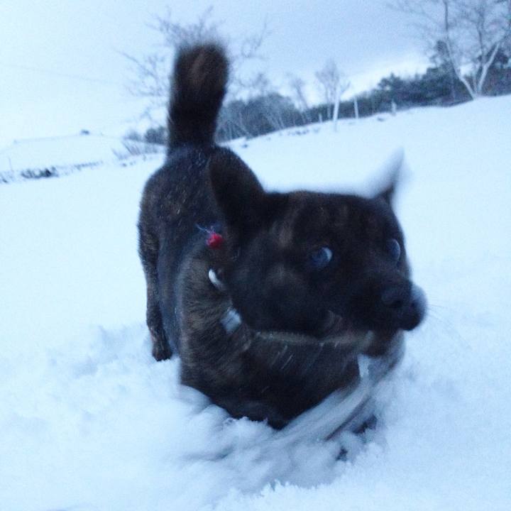 46ab3b61 b608 40a4 8a5b 7d882a0d13db