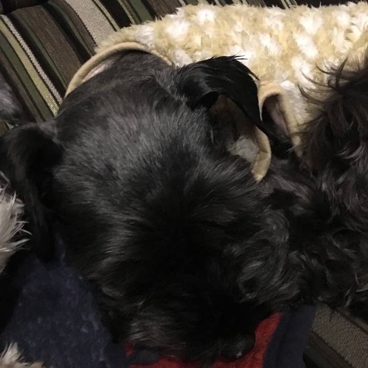 46ac43ab 98f2 4e72 82df 492a376e4749