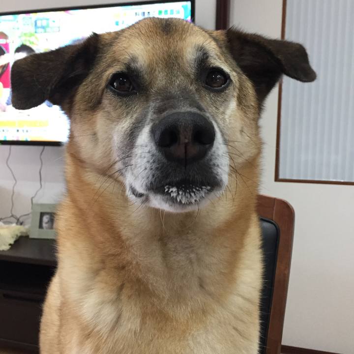 46ac43d3 7b61 485c 9a29 bd6846367edc