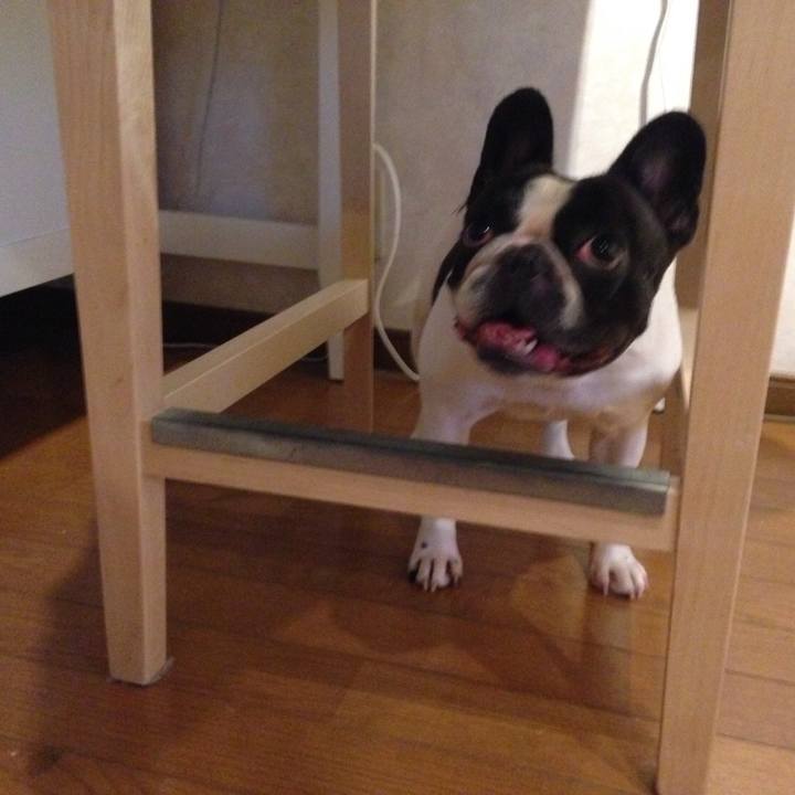 46ac5107 4124 4c17 82f7 82ec9e2471fa