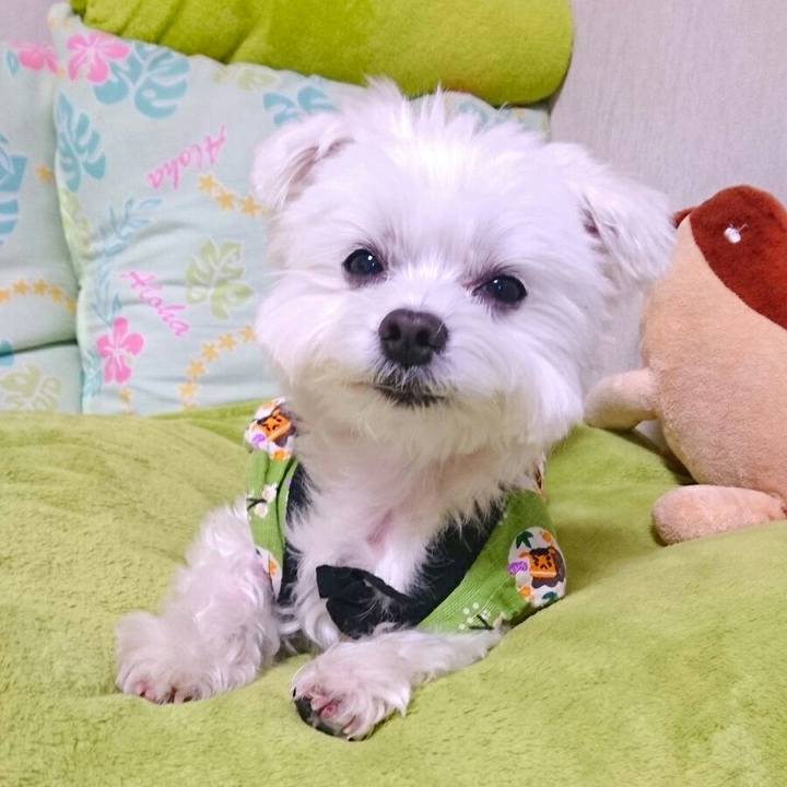 46acb5a0 1921 4fa6 8baa 773196ea0b88