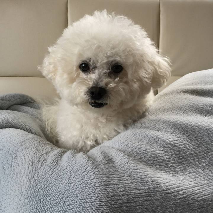 46ace161 1253 4413 a46f f597185fc47e