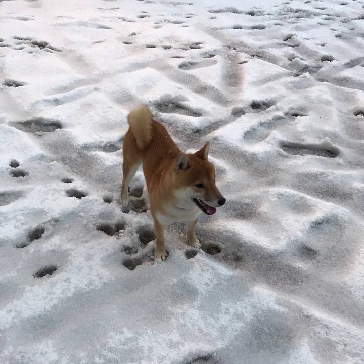 46ad13ee df45 42a4 83a0 9224e38fff3c