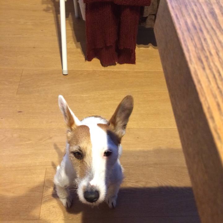 46ad8522 fd8c 4c10 a9fc e8dfa1177c8e