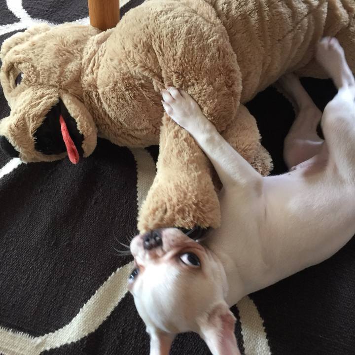 46adbc8e 02d9 4b5a 96ae af1980650f97