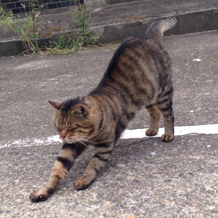 46ae68f6 59ca 46e6 9f81 9798cc29eb5b