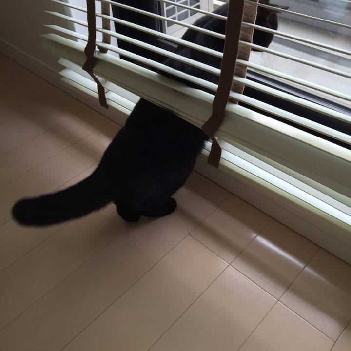 46ae8f5b e847 42ec bfe3 ac7f1ccab3ea