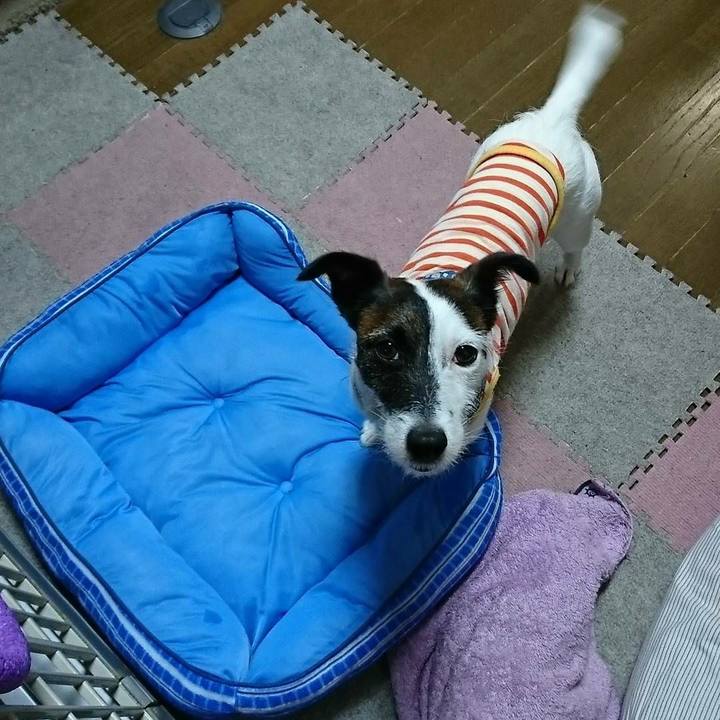 46af082d 0c2f 48b4 b4a2 777ee4725270