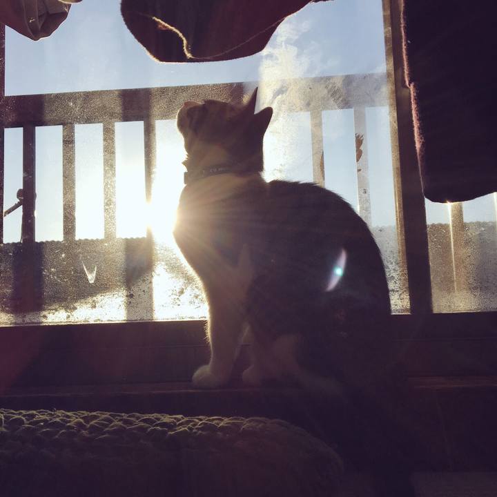 46af4612 4dab 460f bbfa 0aeb416e4efd