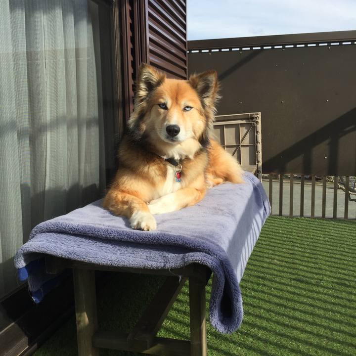 46b01328 4091 4dbb ac0f 11bea3f97273