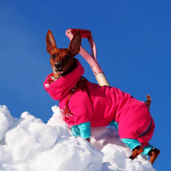 46b02a36 56ce 45c1 bd5b 04747b906596