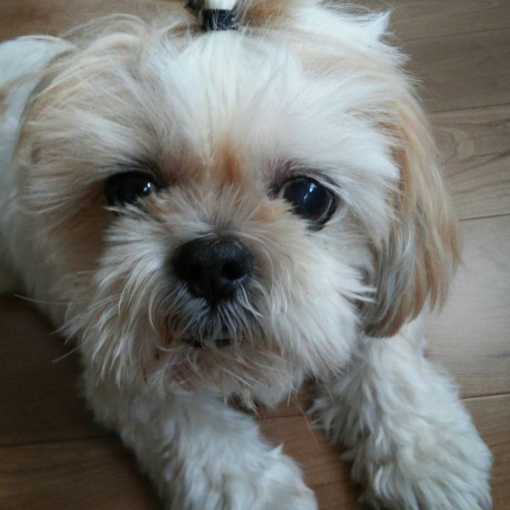 46b046de ca38 463f a964 c19d792c62f1