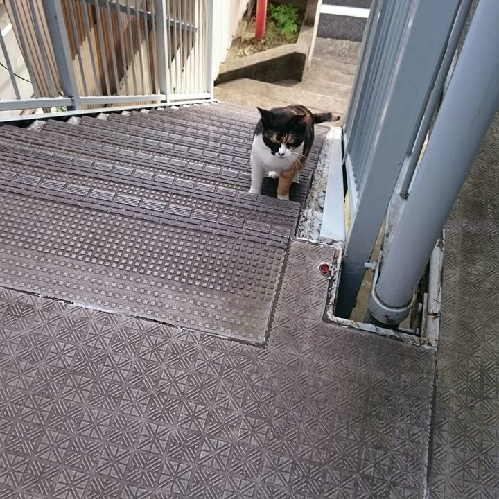 46b055cc 511b 432d bce2 57663c137c0a