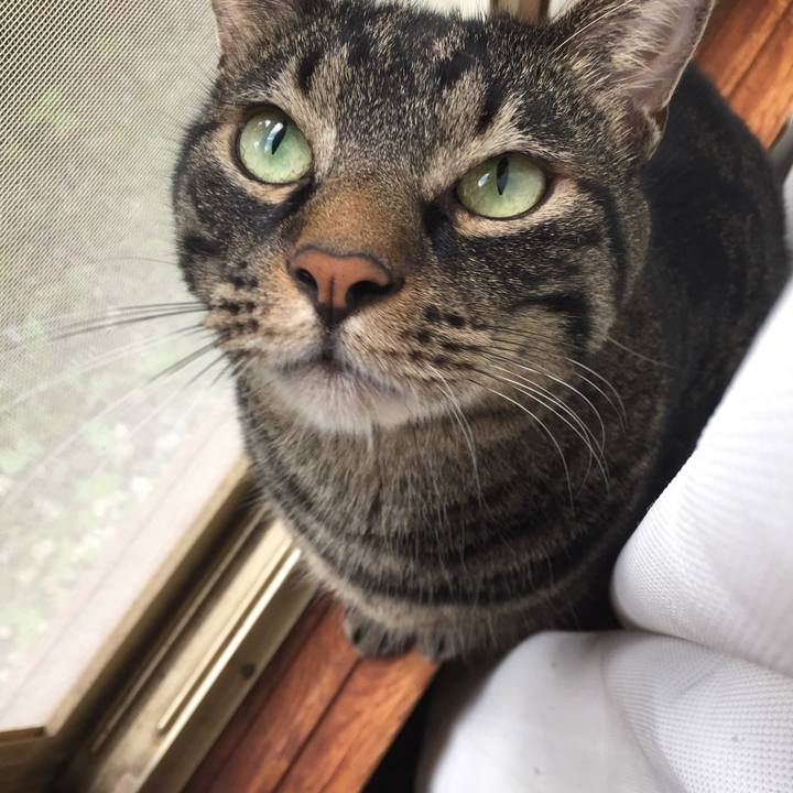 46b07dfa 8612 4ee7 a055 de1cb58cec35