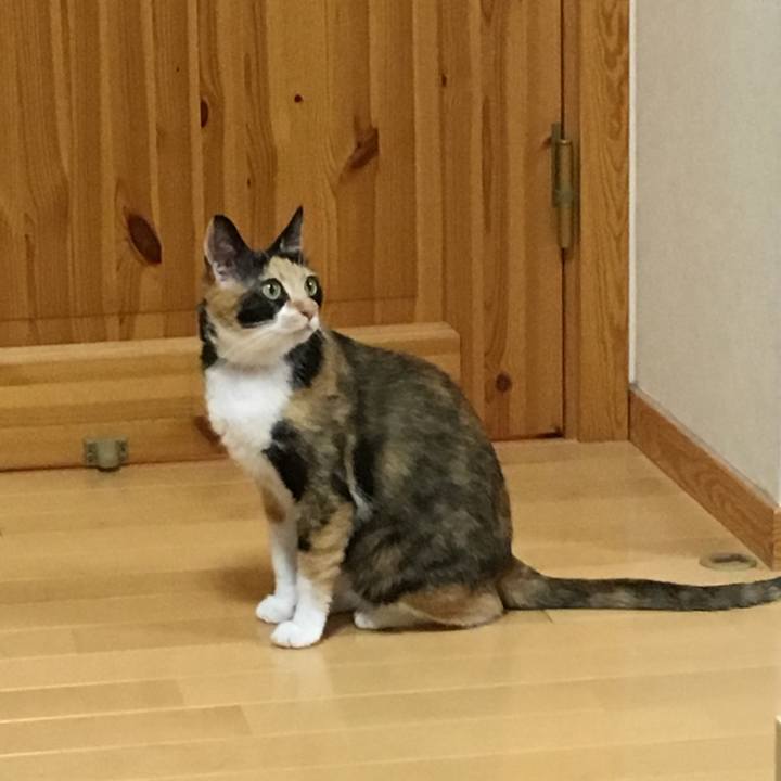 46b0b45b cb72 4e97 a3ed 1cf4900ffbc3