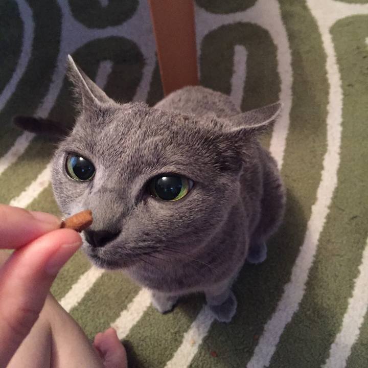 46b0bb03 289f 46af 8609 cbfa8527c4d9