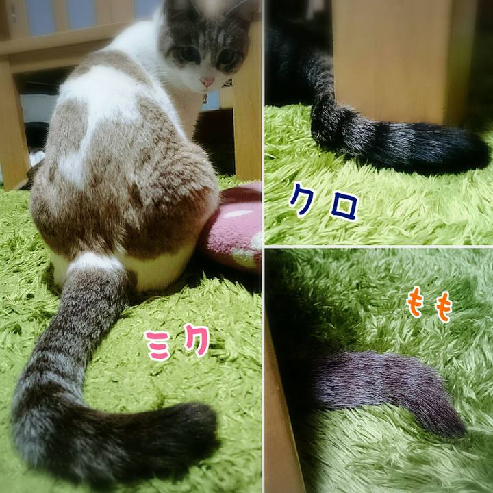 46b0d1b9 f562 4c9c 841e d8d4057753c3