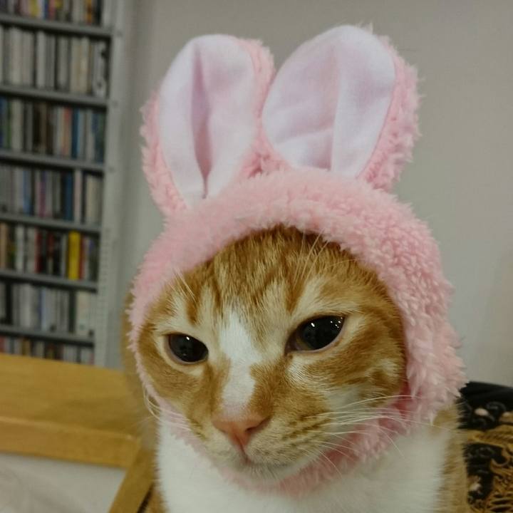 46b104bc e60a 426d 8722 f6743b888019