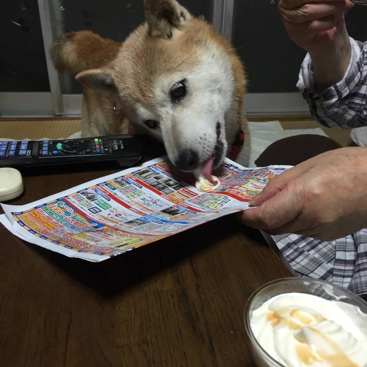 46b14659 aa9e 4329 bb4b fc0588cba9b6