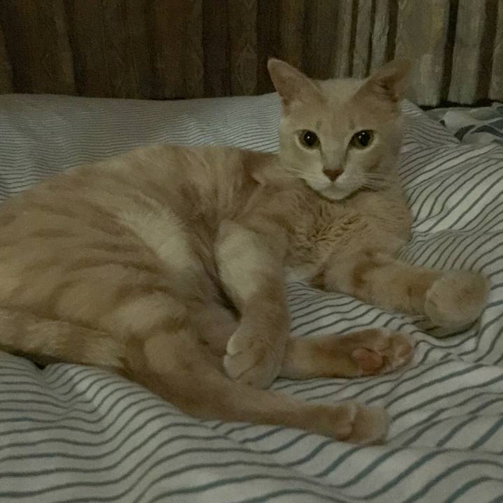 46b186ab a0dd 44b8 99a2 7bb03f37fe64