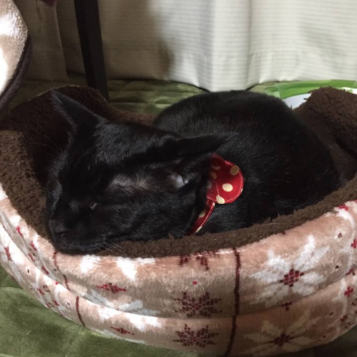 46b1dee2 3c63 4d93 90b1 b3e3cf00e8a1