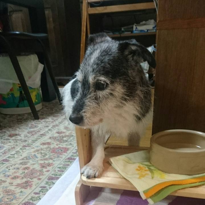 46b21492 f9a6 471d b10e e21bb96d2e72