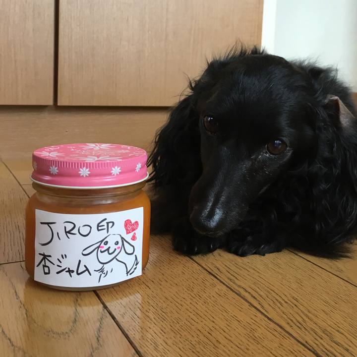 46b217d7 31c6 4a08 bdce 829a37731c29