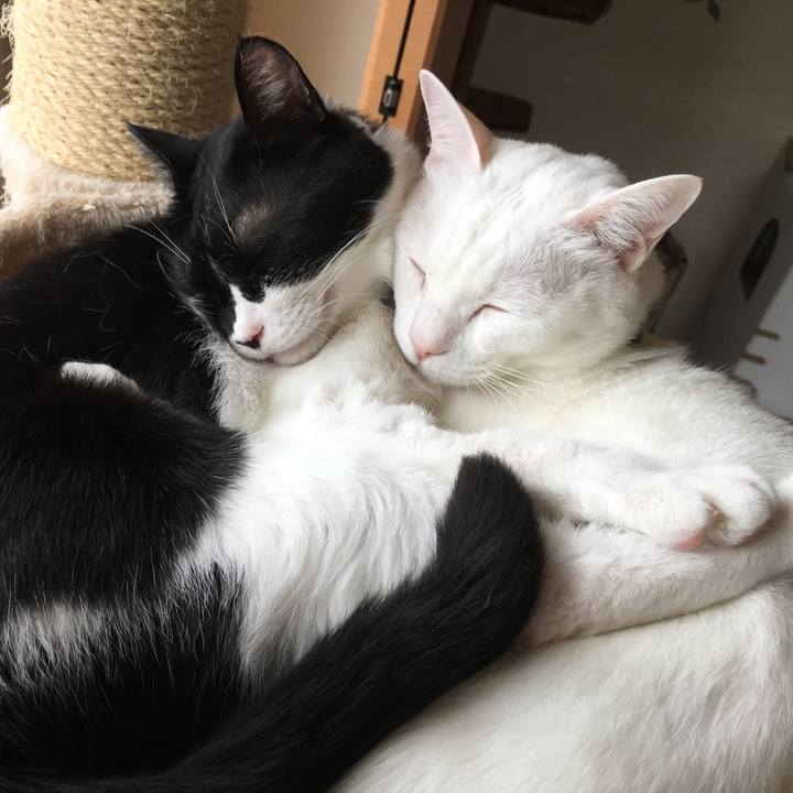 46b33e21 6fd0 4030 96de 197cb39730e4