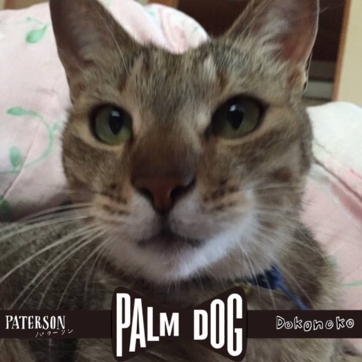 46b37f39 335e 4517 9617 6af39e92610a