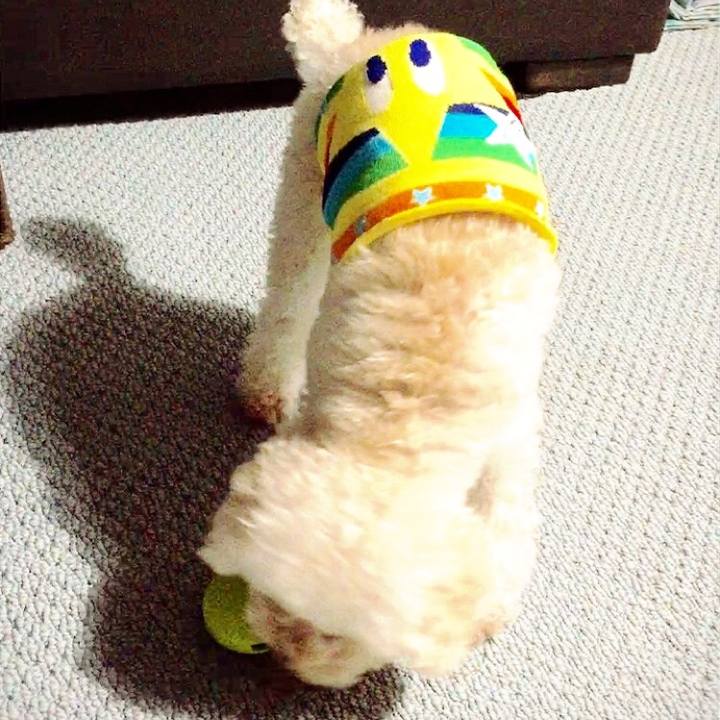 46b3ec26 85a1 4598 ac45 8aab306de41e