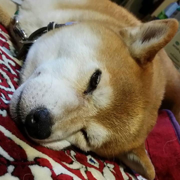 46b4f77d 755b 47b2 be27 50593d62fbdf