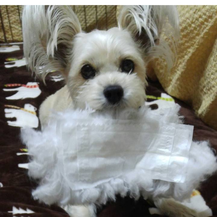 46b504d0 3155 4393 8526 f60d8fa2d9e3