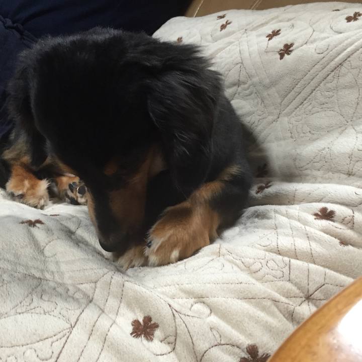 46b54c0f c84e 4d0a aea4 6de45bd9a5e8