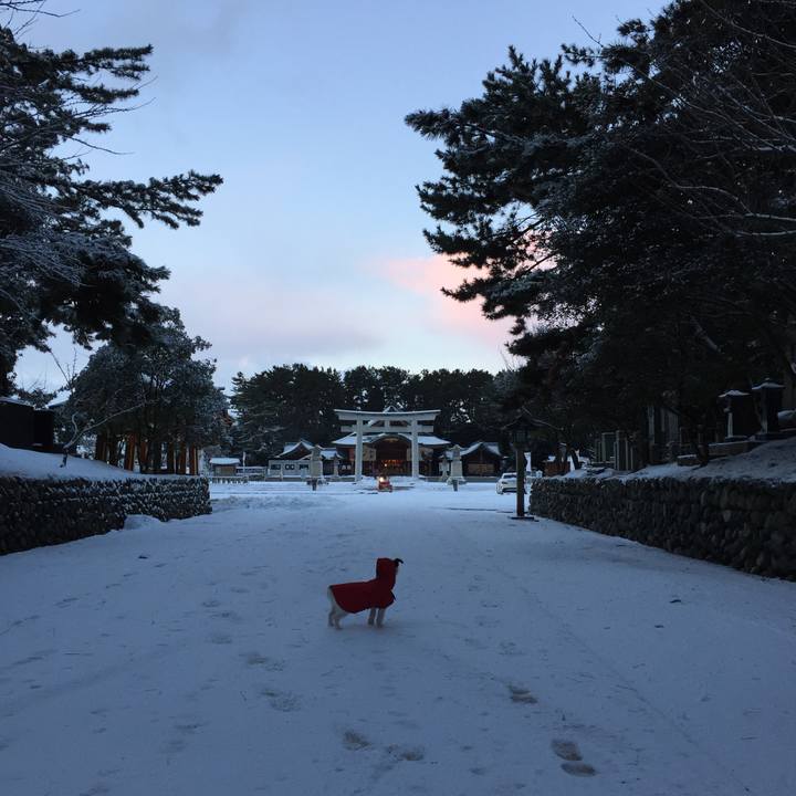 46b5c79e 9f79 4bea 943a f329ff5302aa